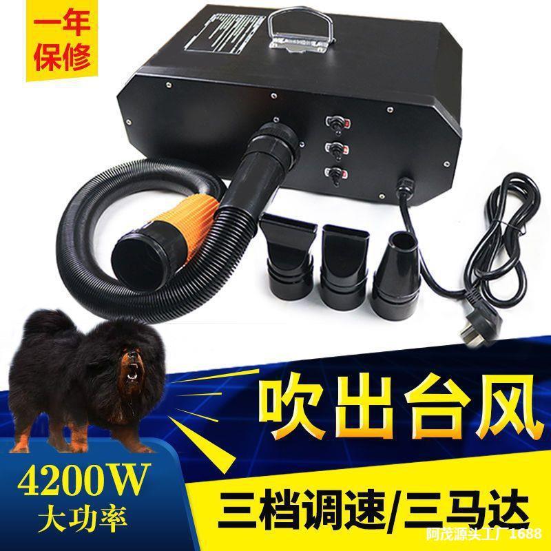 马达宠物吹水机大功率静音大型犬藏獒吹毛机狗狗洗澡吹风机大风