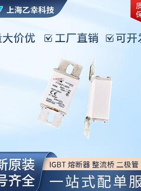 巴斯曼熔断器 170M1461 170M1462 170M1463 170M1464 170M1465