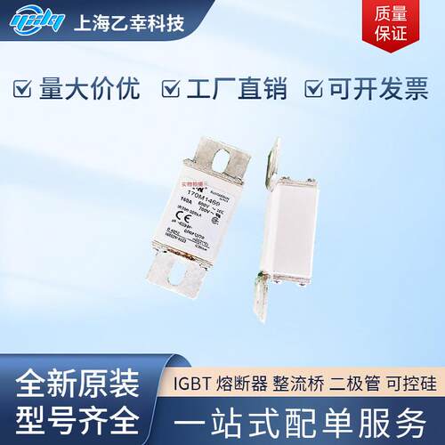 巴斯曼熔断器 170M1485 170M1487 170M1488 170M1508 170M1509