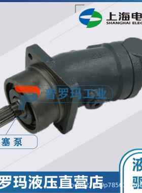 斜轴式弯脖泵柱塞泵/液压泵马达A2F107R6.1B5/125/180