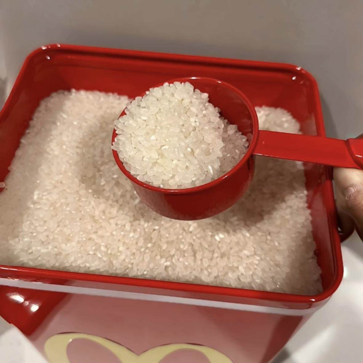 红米桶家用暖房防虫防潮密封食用级加厚不锈钢大米储存箱5公斤大