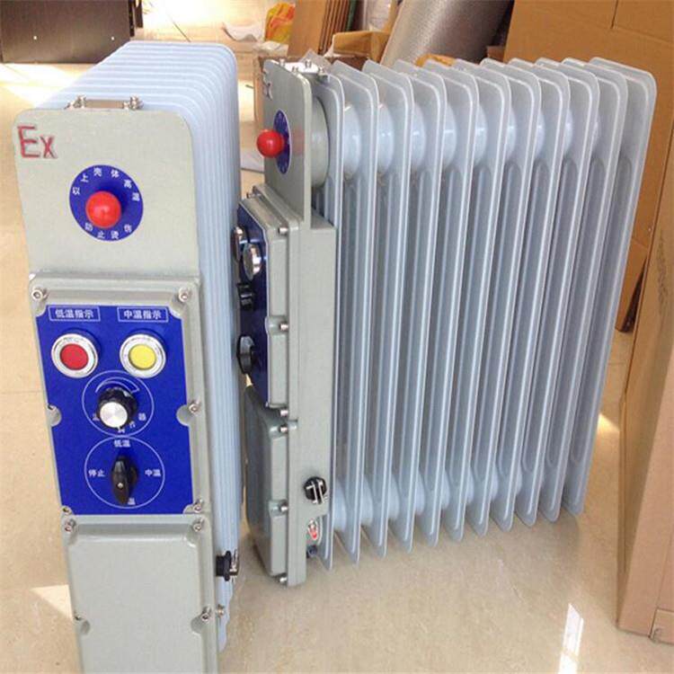 厂家供应防爆电热油汀 11片防爆电热油汀 矿用电热油汀厂家