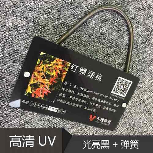 花草树树牌标识牌树木简介悬挂牌亚克力园林牌绿化牌园林标识牌
