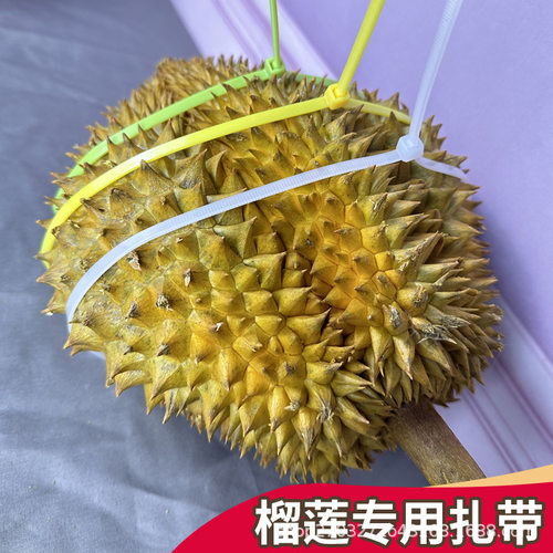 榴莲专用捆绑捆绑拉紧大号扎丝