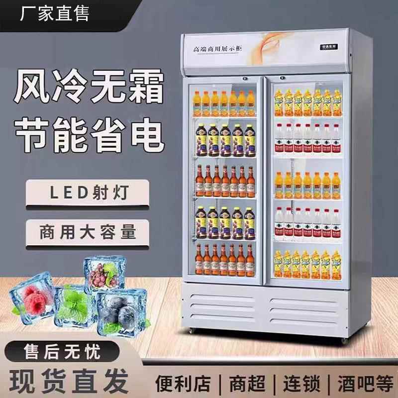 啤酒饮料冷藏展示柜商用单双门三开门网红冰柜超市酒吧立式酒水柜