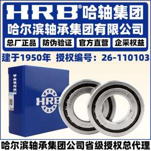 哈尔滨轴承 7602030 7602035 TN P5 DB DT DF 两联配对