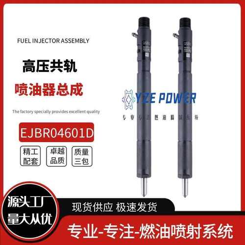 EJBR04601D适用双龙路帝2.7T德尔福喷油器A6650170321雷斯特五缸