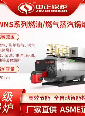 WNS天然气火管锅炉燃油蒸汽工业锅炉厂家直供需要年检可定燃气式