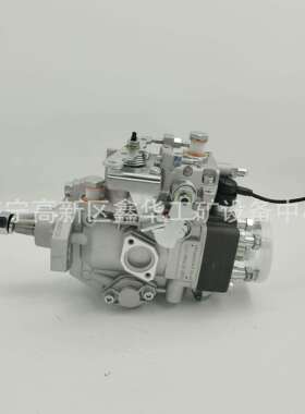 104641-621VE411F1000RNP2818高压喷油泵VE泵总成104641621