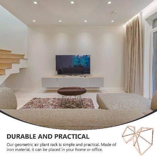 4 pcs Metal Plant Support Display Rack for Air Plants Home