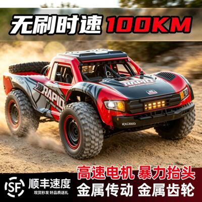 巴哈一千拉力赛车1000高速越野遥控车无刷竞速漂移四驱赛车攀爬赛