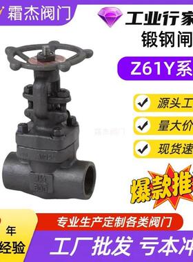 霜杰阀门厂家直销Z61Y-800LB锻钢闸阀A105多种材质价格实惠