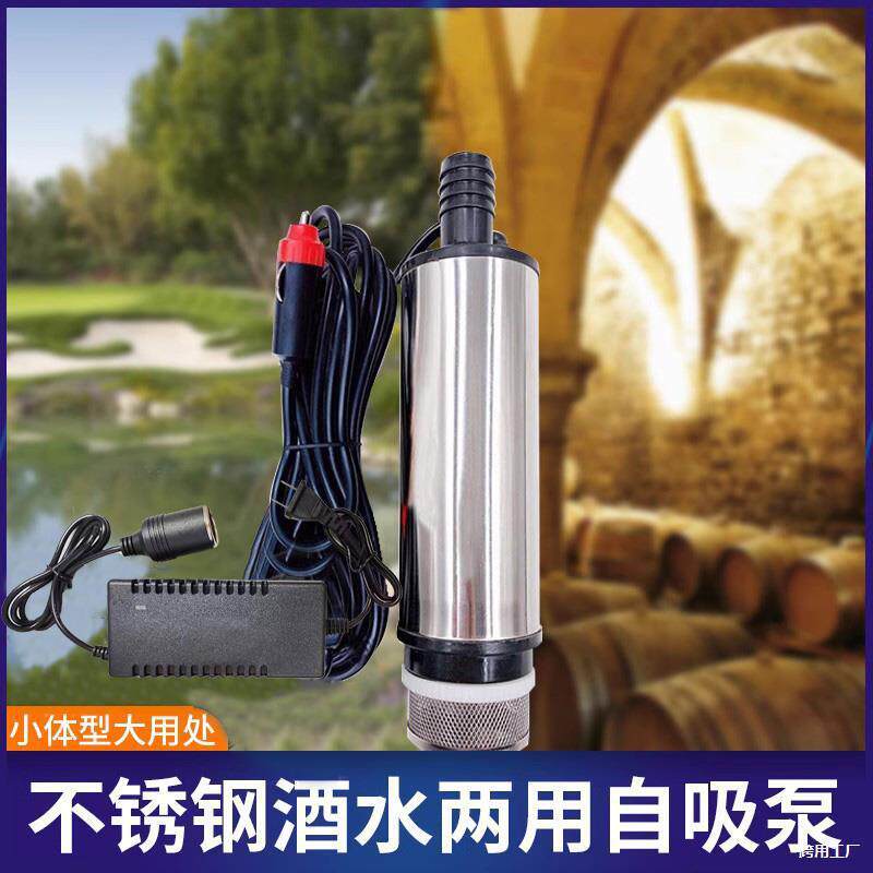 抽家用电动潜水泵潜水抽水泵吸吸泵小型棒12V220V水泵磅水泵油自