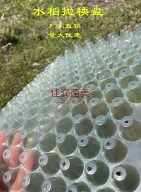 厂家353孔育秧盘平盘秧盘水稻育苗盘软盘抛秧盘308孔种植盘