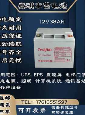 Techfine泰琪丰蓄电池 12V38AH 直流屏 电梯门禁 UPS/EPS电源主机