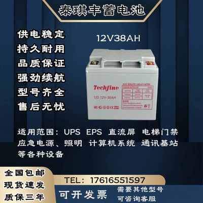 Techfine泰琪丰蓄电池 12V38AH 直流屏 电梯门禁 UPS/EPS电源主机