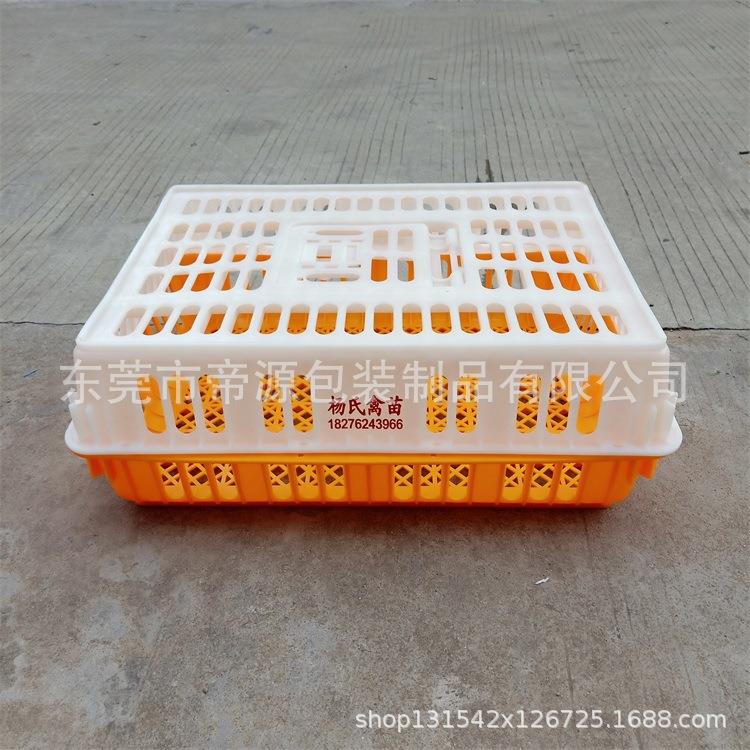 厂家9斤塑料弹盖鸡笼元宝形养殖场运输笼成鸡鸭笼包邮