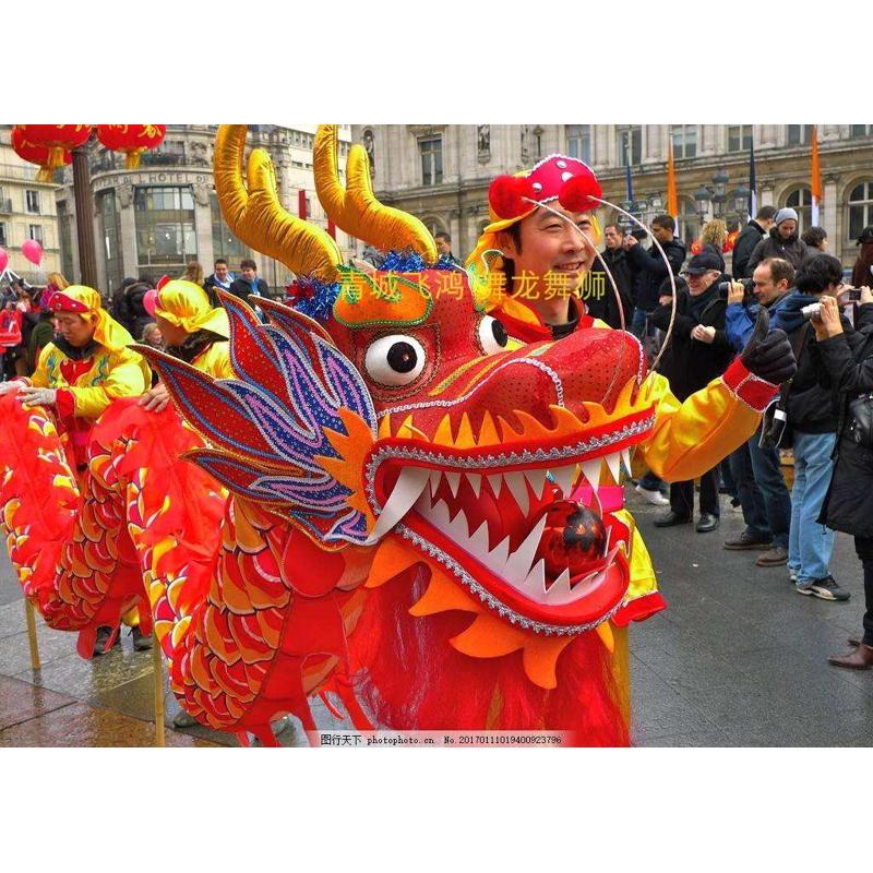 舞龙道具 九节国标龙 比赛竞技龙 高密度绸布 钢丝饱满 质量好
