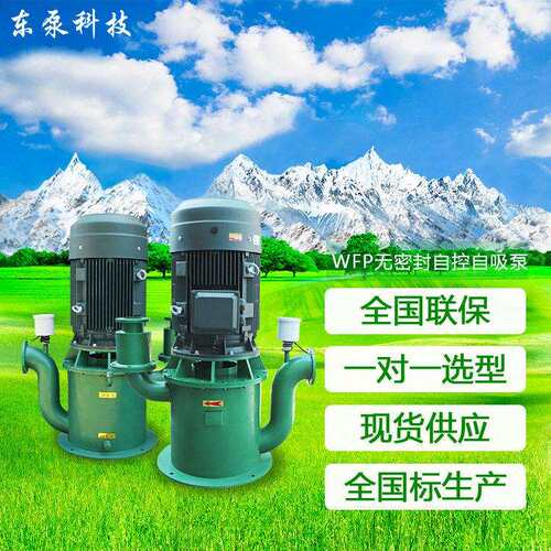 厂家供应加强自吸泵WFB电厂钢厂配套工业泵无密封自控自吸泵