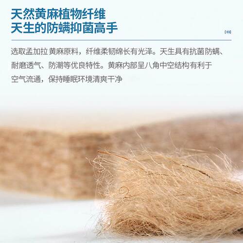 乳胶黄麻棕垫硬老人儿童护脊床垫高箱床榻榻米垫薄1.8m双面可拆