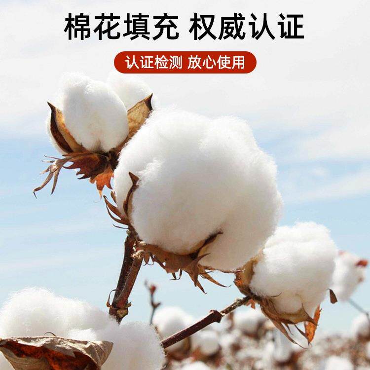 棉花棉子MVS床垫软垫垫冬季加厚絮被棉被家用宿舍褥单人床褥垫子