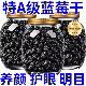 胖超市东来长白山野生蓝莓干无糖无添加蜜饯蓝莓果大兴安岭大颗粒