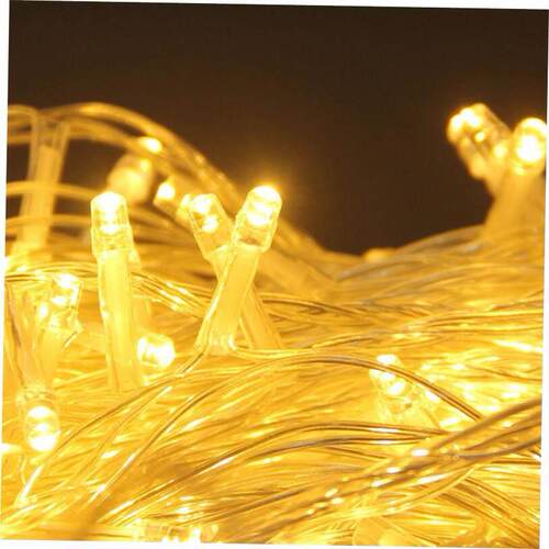 220V LED Fairy Light Christmas Outdoor String Lights Garland