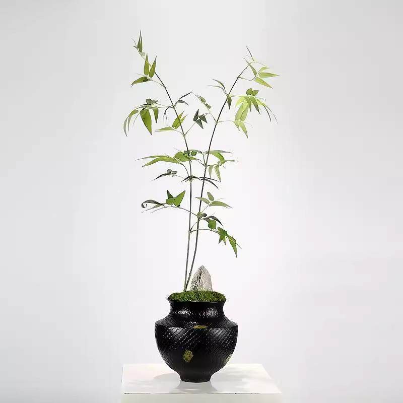 新中式酒仿真花绿植店客厅2430餐桌文竹瓷陶花器茶几假装饰品竹子