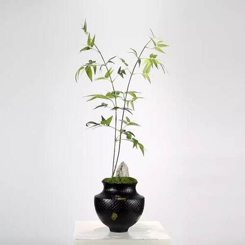 新中式仿真花绿植酒店客厅餐桌假文竹陶瓷花器茶几装饰品竹子摆件
