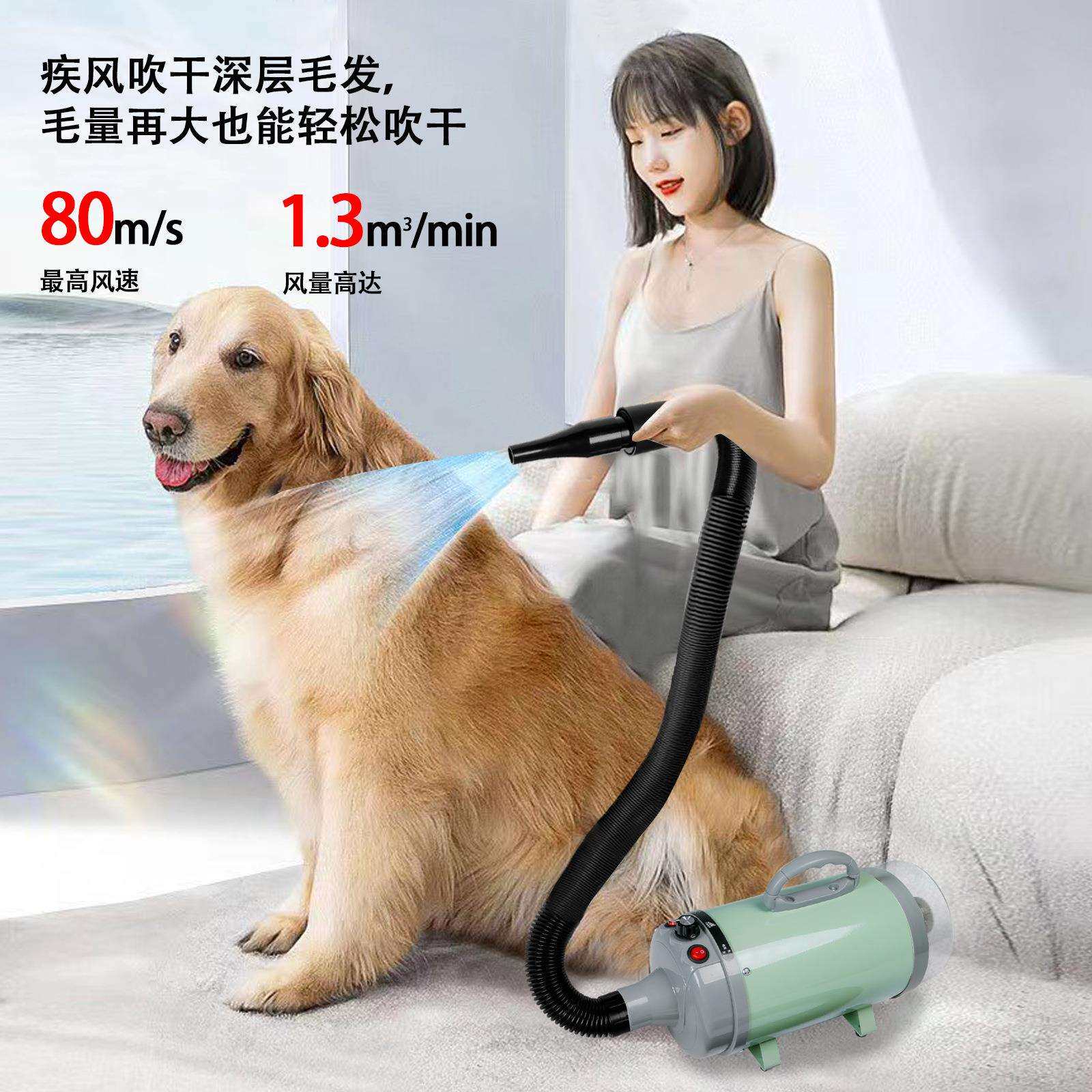 欧美爆款宠物吹水机宠物洗澡神器大功率狗狗吹风机大型犬吹毛神器