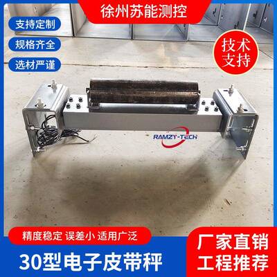 ICS-20A高精度电子皮带秤贸易型电子皮带秤全悬浮式电子皮带