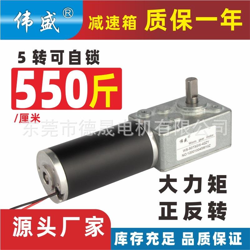42微型涡轮蜗杆减速电机5073GW大扭力大功率直流齿轮减速电动机