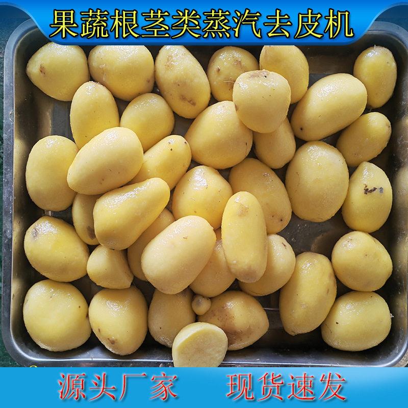 全自动马铃薯蒸汽去皮机替传统土豆去皮方式蒸汽去皮时产5吨