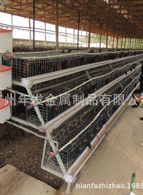 多层立体蛋鸡笼镀锌阶梯养殖笼蛋鸡养殖出口鸡笼chicken cages