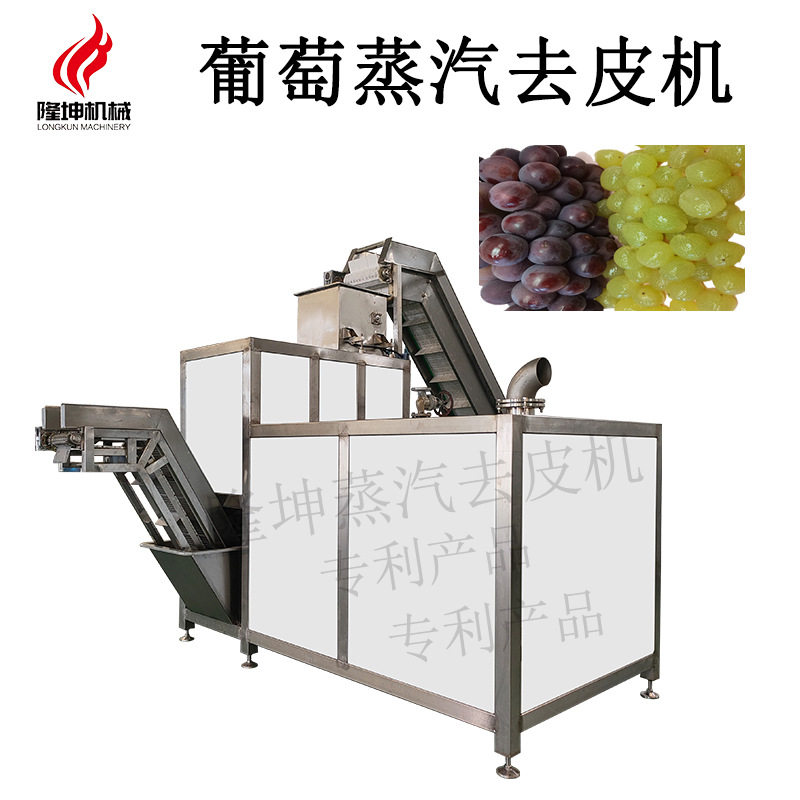 多功能蒸汽去皮机 全自动葡萄纯物理爆皮机 不锈钢材质