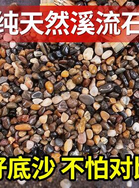 溪流石原生鱼缸水族造景红色火山石爬宠垫底石彩色石头天然鹅卵石