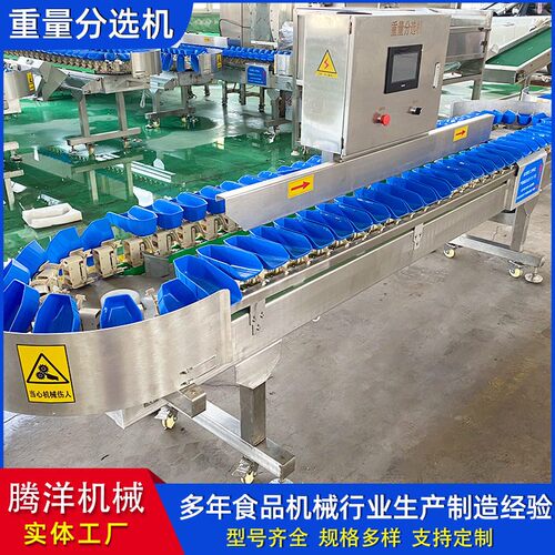自动水果分级机芒果百香果重量分选机不锈钢材质