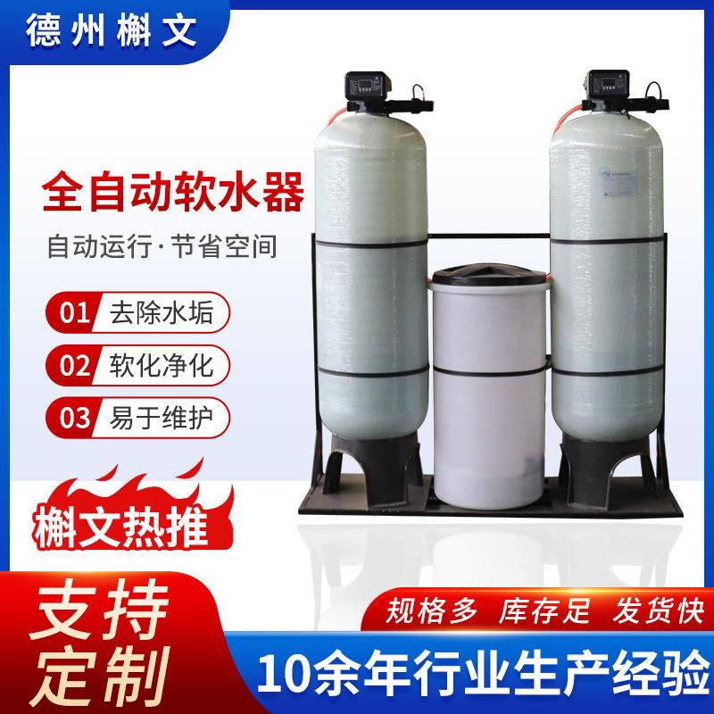 全自动软水器去离子交换水质软化过滤器地下水锅炉除水垢软水设备