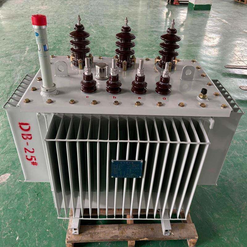生产S22-250KVA电力变压器厂家直供10KV6KV油浸式