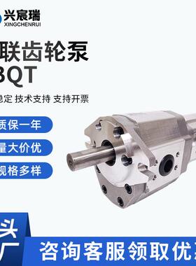 双联齿轮泵CBQT-F550/F425 F550/F432 F540/F410 F540/F416液压泵
