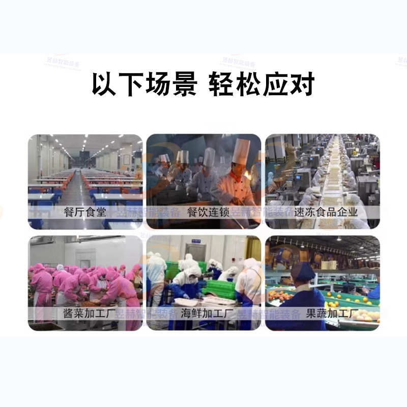 气泡清洗机 商用果蔬辣椒清洗机 全自动高压喷淋净菜加工设备