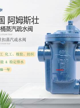 阿姆斯壮 881 吊桶式蒸汽疏水阀 15铸铁机械疏水器