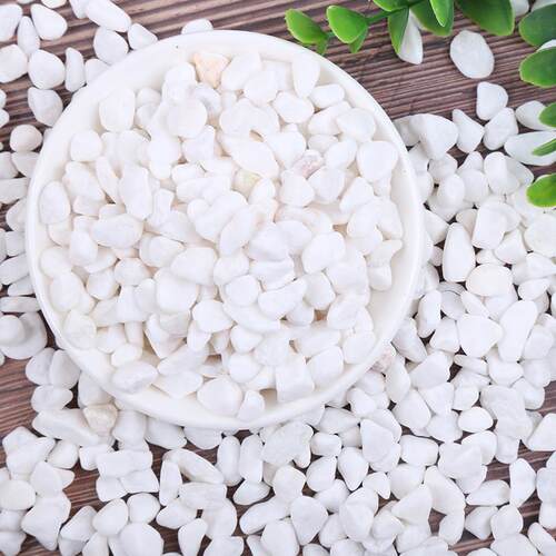 40斤天然白石子造景庭院景观铺路花盆景鱼缸烟灰缸多肉铺面鹅卵石