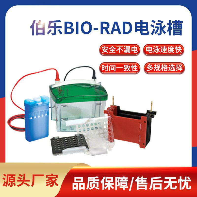 美国伯乐BIO-RAD电泳槽电泳仪垂直电泳槽转印槽蛋白槽一级