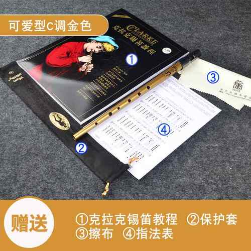 高档Clarke克拉克子尔兰哨笛锡笛笛儿爱童初学萧专业金属笛乐器D