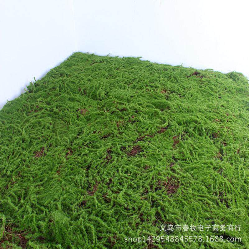 仿真青苔草皮 苔藓草坪 植物墙配材假草皮 装饰苔藓草皮 厂家