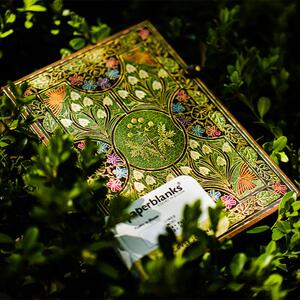 paperblanks缤纷诗意笔记本含羞草挚爱之诗记事本子文创小清新手