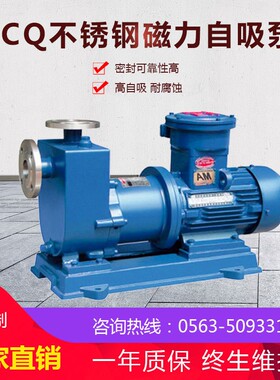 卧式耐酸碱化工泵 不锈钢自吸磁力泵 碱液输送泵 ZCQ50-40-160
