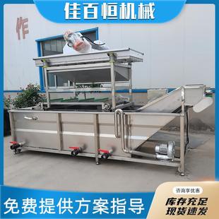 树莓蓝莓气泡清洗机菜花西蓝花洗菜机千禧果大枣全自动洗果机