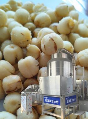 莲子酥真空油炸机花生米真空低温油炸机vf红枣干加工设备